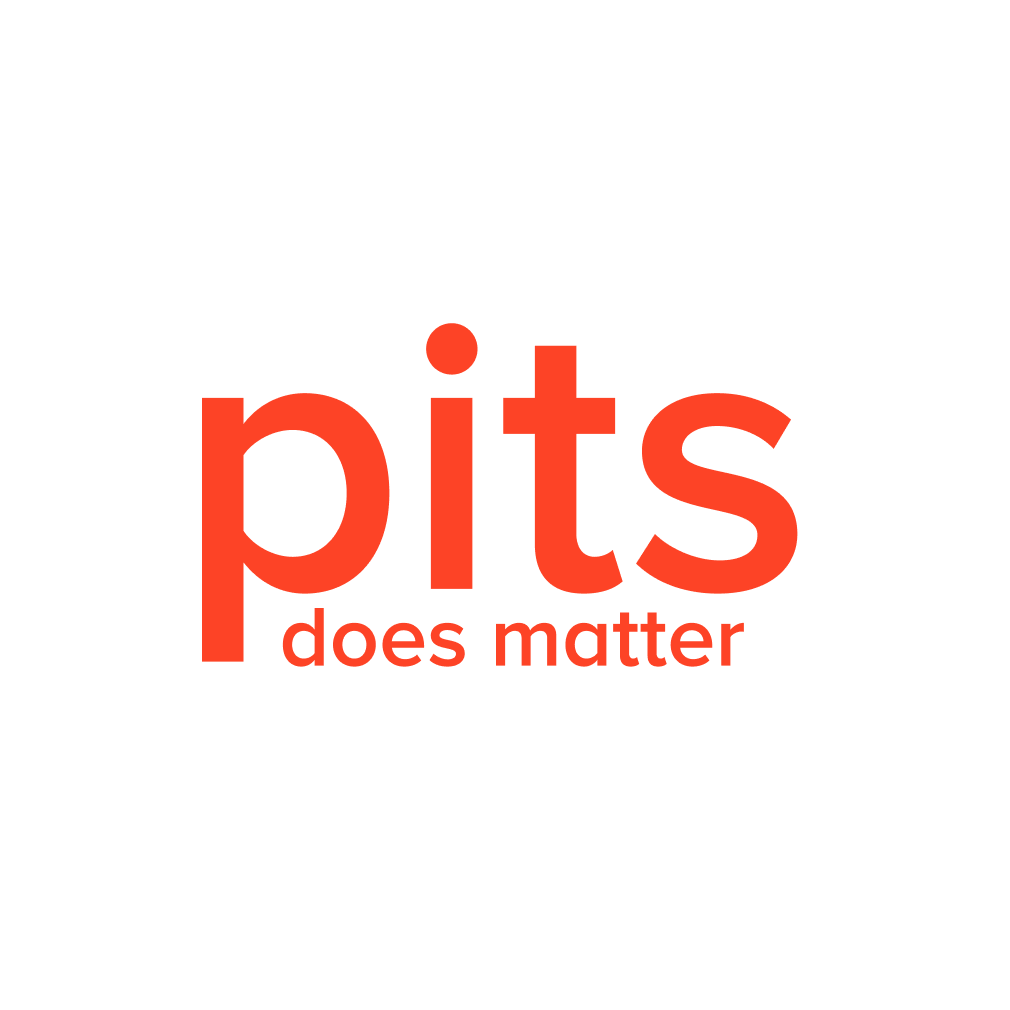 PITS Global Data Recovery Services